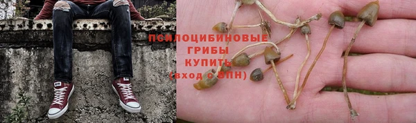 а пвп мука Алзамай