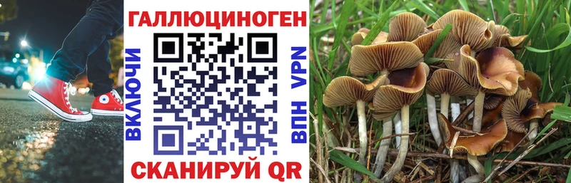 Галлюциногенные грибы GOLDEN TEACHER  что такое наркотик  Жуков 